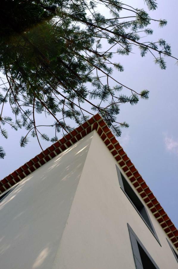 Casa Oliveira Esmeraldo - Guest Houses São Vicente エクステリア 写真
