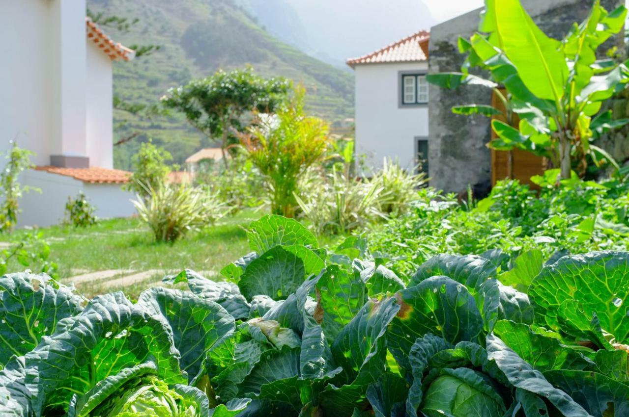 Casa Oliveira Esmeraldo - Guest Houses São Vicente エクステリア 写真